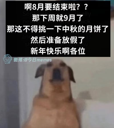 图片上方是黑色背景的白色文字：'啊8月要结束啦?? 那下周就9月了 那这不得挑一下中秋的月饼了 然后准备放假了 新年快乐啊各位'，下方是一只仰头向上看的狗，表情看起来有些期待或困惑。图片通过快速跳过中间时间直接从8月想到过年，幽默地表达了人们对假期的期待和时间过得快的感受。