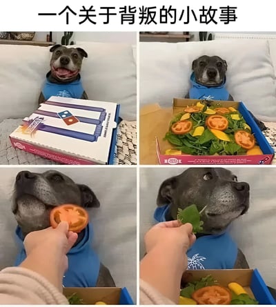 这是一张四格拼接图，讲述了一个关于背叛的小故事。第一格中，一只黑色狗狗戴着蓝色围巾，面前放着一个达美乐披萨盒，狗狗露出开心的笑容。第二格中，披萨盒被打开，里面却是装满蔬菜和番茄片的沙拉，狗狗表情变得失望。第三格特写狗狗正在吃一片番茄。第四格中狗狗正在吃一片菜叶，表情显得有些无奈和悲伤。通过狗狗从期待披萨到面对沙拉的表情变化，幽默地展现了