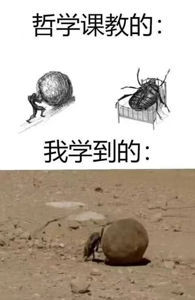 这张梗图通过上下对比的方式幽默地展示了哲学教育的理想与现实差距。上图"哲学课教的"部分包含两个经典哲学意象：西西弗斯推石（象征永恒徒劳的努力）和卡夫卡《变形记》中的甲虫（象征异化）。下图"我学到的"则展示了一只真实的蜣螂（屎壳郎）在沙漠中推粪球，形成了一种荒诞的反差萌，暗示学生实际记住的可能只是表面意象而非深层哲学内涵。