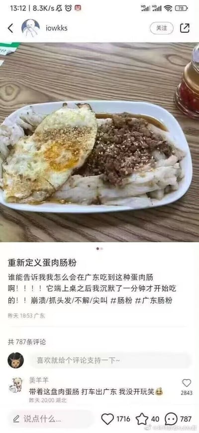一张社交媒体截图，展示了一盘外观与预期不符的广东蛋肉肠粉。盘子里有一块煎蛋和肉末覆盖的肠粉，看起来与传统广东肠粉的精致外观有较大差距。发帖人表达了强烈的惊讶和不解："谁能告诉我我怎么会在广东吃到这种蛋肉肠啊！！！它端上桌之后我沉默了一分钟才开始吃的！！崩溃/抓头发/不解/尖叫"。评论区有人调侃道："带着这盘蛋肉肠 打车出广东 我没开玩笑"，引发共鸣。