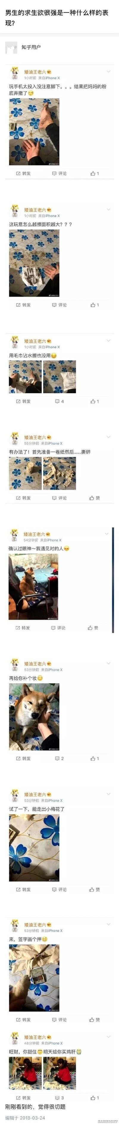 这是知乎问题“男生的求生欲很强是一种什么样的表现？”下的分享内容，由微博用户“矮油王老六”的一系列动态截图组成。动态记录了他因玩手机太投入，不小心弄撒了妈妈的粉底，先是尝试用手、毛巾擦拭，却发现越擦面积越大，在无计可施时，他想出了嫁祸家里狗狗的办法：先撕碎纸巾，然后把狗狗抱过来，给狗狗“补妆”（把粉底抹在狗狗脸上和爪子上），让狗狗踩在纸巾和粉底上，制造出是狗狗弄撒粉底并踩得到处都是的假象，最后还“安抚”狗狗说明天给它买鸡肝，整个过程生动又搞笑，完美诠释了男生为了逃避家长责备的超强求生欲。