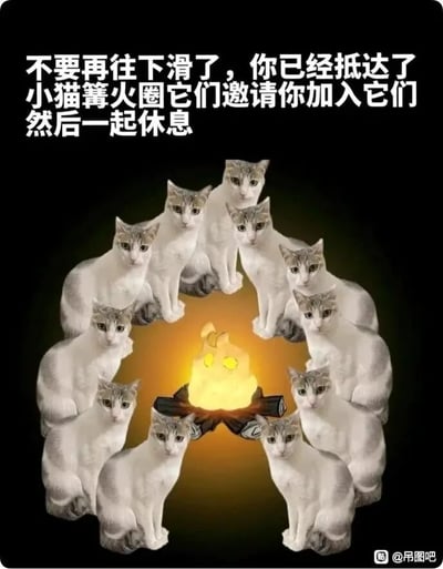 这是一张充满治愈感的趣味创意图，整体以深色为背景，视觉中心是12只外观完全相同的灰白猫咪，它们端正地坐着，整齐地围成一个圆圈，每只猫咪都平静地注视着前方。圆圈的中心是一个发光的篝火，篝火的火焰部分被设计成了带有猫咪脸部特征的样子，仿佛篝火也成为了这个温馨圈子的一员。图片上方配有白色的温馨文案：“不要再往下滑了，你已经抵达了小猫篝火圈它们邀请你加入它们然后一起休息”，用亲切的语气邀请观看者停下滑动屏幕的动作，加入这个小圈子，享受片刻的休息时光。整体风格轻松治愈，通过重复的猫咪形象和拟人化的篝火，营造出温暖、放松的氛围，能够缓解人们长时间浏览内容时的疲惫感。
