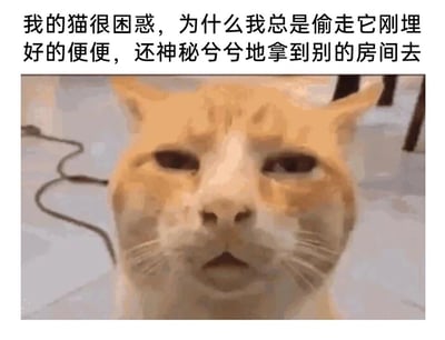 这是一张图文结合的搞笑表情包，上方配有简体中文文案“我的猫很困惑，为什么我总是偷走它刚埋好的便便，还神秘兮兮地拿到别的房间去”，下方是一只橘白相间的猫咪，它眼睛半睁，嘴巴微张，露出一脸困惑、震惊又不解的表情，完美契合配文里猫咪的拟人化心理活动。图片以宠物视角调侃养猫日常中清理猫砂的行为，精准戳中养猫人群的生活共鸣，用幽默的方式展现人与宠物之间的趣味互动场景。
