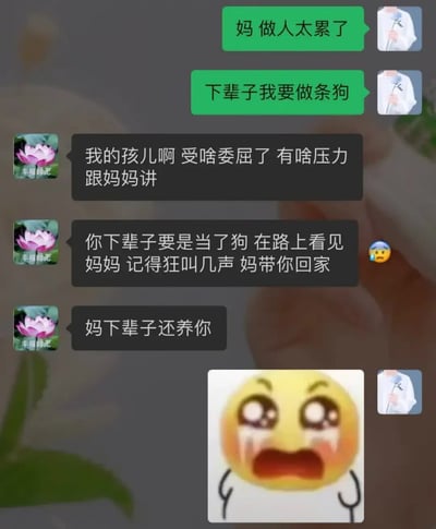 这是一张微信聊天界面截图，记录了一段母子间的温情对话：孩子首先向母亲诉苦，称做人太累，下辈子想要做条狗；母亲先关切询问孩子是不是受了委屈、有压力可以和自己倾诉，随后回应如果孩子下辈子真的变成狗，在路上遇到自己就叫几声，自己会把他带回家，还明确表示下辈子依旧会养他，最后孩子发送了一个痛哭的小黄脸表情包，直观体现出被母亲的话深深打动的情绪，整体内容充满了母爱带来的温暖感。