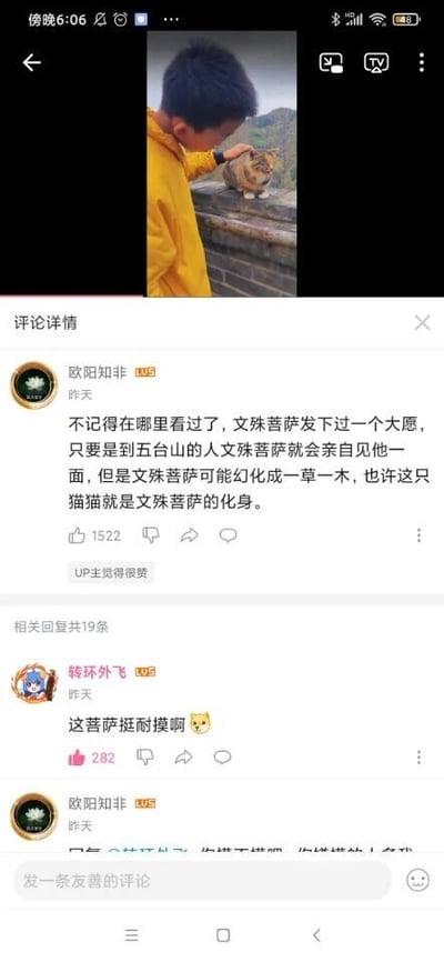 这是一张社交媒体的视频截图，上方视频画面中，一位穿着黄色外套的男孩正在抚摸一只趴在石台上的猫，背景是类似五台山的石质宗教建筑；下方是评论区内容，用户“欧阳知非”结合五台山与文殊菩萨的传说，称这只猫可能是文殊菩萨的化身，因为文殊菩萨曾发愿会亲自接见前往五台山的人，且会幻化为万物；另一位用户“转环外飞”则玩谐音梗，回复“这菩萨挺耐摸啊”，将猫的“耐抚摸”与“菩萨”身份结合，制造出幽默效果，第一条评论获得了1522个点赞且得到了UP主的点赞，回复评论也有282个点赞。
