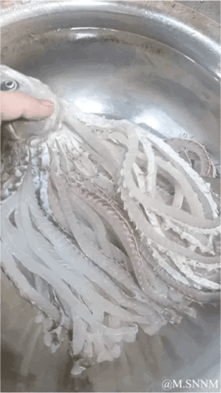 这是一则利用拍摄角度制造视觉错觉的动态图，画面中一只手按住鱼头，鱼头下方恰好对着拖把的布条，从这个角度看仿佛是这条鱼长了一堆类似触手的怪异“鱼须”，营造出荒诞又搞笑的效果，实则是鱼头和拖把的错位拼接，误导了观者的视觉判断。