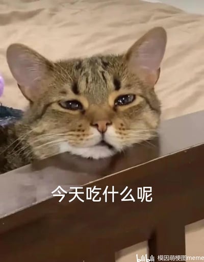 暂无描述