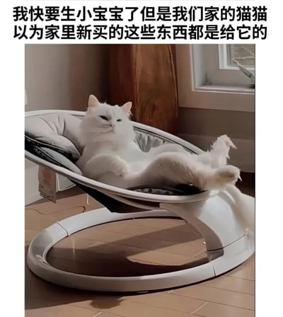 一张幽默的照片，展示了一只白猫舒适地躺在一个婴儿摇椅里。图片上方配有文字：'我快要生小宝宝了但是我们家的猫猫以为家里新买的这些东西都是给它的'，暗示这张摇椅实际上是为即将出生的婴儿准备的，但被猫当成了自己的新窝。猫咪表情放松得意，四肢舒展，显得非常享受这个本不属于它的家具。
