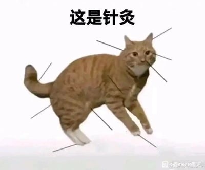 这是一张文字加注的静态搞笑表情包，画面主体是一只表情看起来有些无奈、发懵的橘色狸花猫，它的身体各处被P上了多根黑色的针，呈现出仿佛被针灸的状态，图片上方配有醒目的黑色文字“这是针灸”。这里运用了谐音梗，“针灸”谐音“真就”，用猫咪被针“扎”的滑稽画面制造反差搞笑效果，常被用来调侃某种让人无奈、处境窘迫的状况，是很受欢迎的网络聊天搞笑素材。