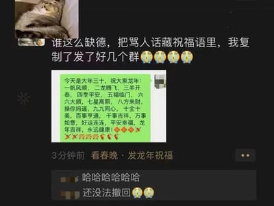图片展示了一段社交平台聊天记录，上方是一张猫咪慵懒躺着的小图，主内容为用户吐槽“谁这么缺德，把骂人话藏祝福语里，我复制了发了好几个群”并附带多个大笑流泪表情。中间是一条绿色背景的龙年祝福消息，内容为传统吉祥话列表，但在“八方来财”和“九九同心”之间恶意插入“操你妈逼”这句脏话。下方显示发送时间“3分钟前”及场景“看春晚 · 发龙年祝福”，并有其他用户回复“哈哈哈 还没法撤回”搭配大笑表情。整段对话围绕春节期间流传的“祝福藏骂”恶作剧展开，充满调侃与无奈的搞笑氛围。