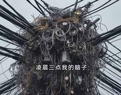 图片展示了一堆极度凌乱且交织的电线、电缆，整体结构看上去宛如一团乱麻。画面中央配有文字“凌晨三点我的脑子：”，用以类比人们深夜时大脑思绪混乱、毫无头绪的状态。整体风格幽默、形象。无明显双关、谐音梗或暗示内容，仅为夸张比喻。