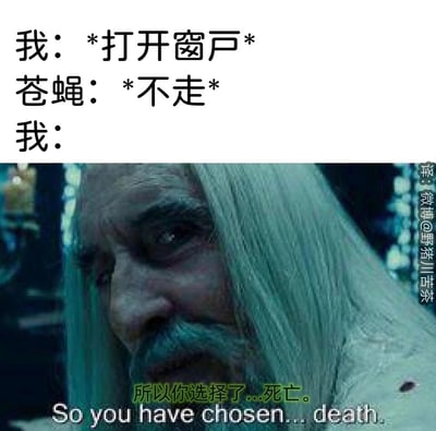 这是一张搞笑的日常吐槽梗图，上方用文字构建了一个生活场景：“我”打开窗户想让苍蝇自行飞离，但苍蝇却顽固地不肯离开；下方配上《指环王》中萨鲁曼的经典台词截图，用“所以你选择了...死亡”这句霸气的台词，夸张地表达出“我”对苍蝇不识趣的愤怒与无奈，将影视中的严肃场景和日常小事结合，制造出强烈的反差感，十分诙谐有趣。