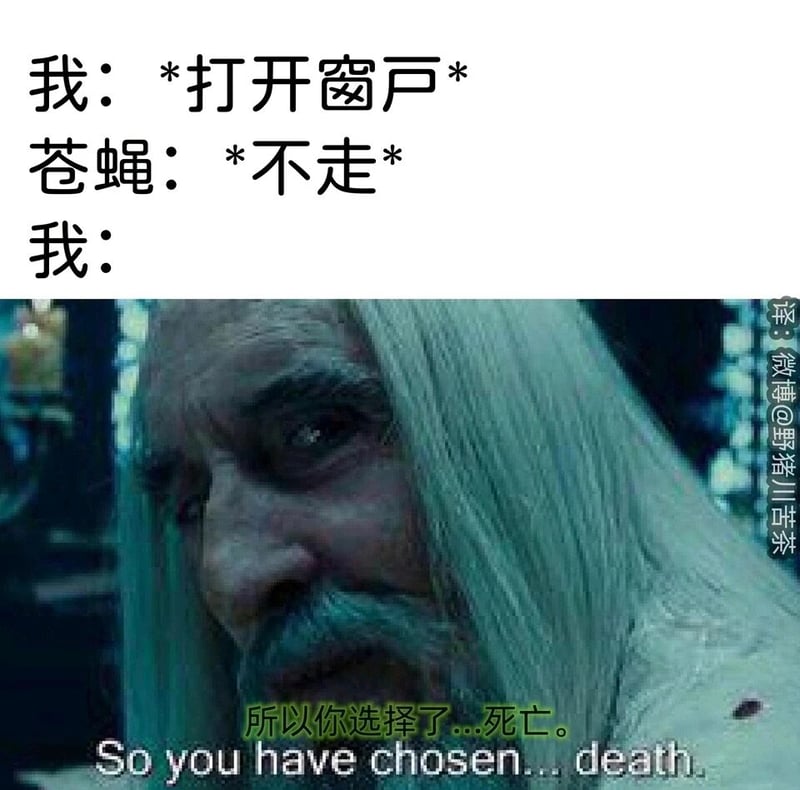 萨鲁曼