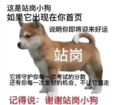 这是一张图文混排的静态表情包，主体是一只呈站立姿势的柴犬，它表情严肃，如同在站岗，身上被标注了“站岗”的白色文字。图中还搭配了多段中文文字，从上到下依次为：“这是站岗小狗 如果它出现在你首页 说明你即将迎来好运”“它将守护你每一次考试的分数 还有你每一次发财的机会，不让它溜走”“记得说：谢谢站岗小狗”。这张图属于网络祈福类表情包，通过赋予小狗“守护好运”的设定，向看到图片的人传递考试顺利、求财成功的美好祝福，适合在考试季、求职求财等场景下分享，用来表达对好运的期盼。