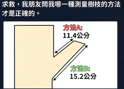 这是一张图文混排的趣味梗图，顶部配文为“求救，我朋友问我哪一种测量树枝的方法才是正确的。”下方绘制了一段侧边带有斜向凸起的L形树枝示意图，标注了两种不同的测量方式：方法A仅测量斜向凸起部分的长度，得到结果11.4公分；方法B则从L形的底部端点测量到斜向凸起的顶端，得到结果15.2公分。该图使用谐音梗，“树枝”谐音男性生殖器，实际上玩的是测量男性生殖器长度时是否包含根部长度的荤段子，用看似正经的测量问题隐含性暗示。