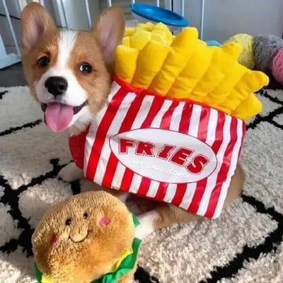 图片中是一只柯基幼犬，它穿着红白条纹的薯条造型服装，服装上印有“FRIES”字样，黄色的毛绒薯条从“包装袋”顶部溢出。小狗吐着舌头，眼神明亮，表情十分开心。它的前爪旁放着一个棕色的汉堡玩偶，玩偶脸上带着微笑，脸颊还有红晕。背景是一块黑白格子图案的地毯，远处隐约可见几个彩色的毛绒玩具。整体画面充满了可爱和治愈的氛围，展现了宠物穿上趣味服装后的萌态。