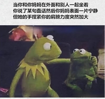 图片上方配有文字描述亲子场景：'当你和你妈妈在外面和别人一起坐着 你说了某句蠢话然后你妈妈表面一片宁静 但她的手捏紧你的肩膀力度突然加大'。下方是《The Muppets》中的科米蛙角色截图，左侧科米蛙表情平静，右手紧紧抓住右侧科米蛙的肩膀，右侧科米蛙则露出惊讶的表情，生动还原了文字描述的妈妈在公共场合表面平静实则通过肢体动作表达不满的场景。