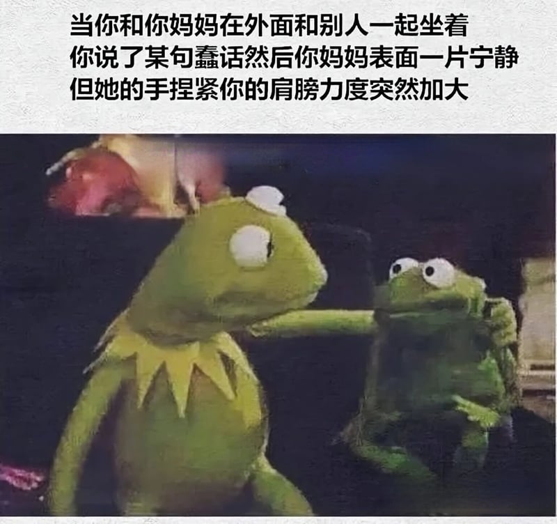 The Muppets