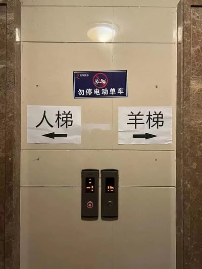 电梯间的控制面板区域，上方贴有宜华物业的蓝色标识'勿停电动单车'（禁止电动自行车停放），中间位置用白色纸张手写了两个搞笑指示牌：左侧'人梯'配左箭头，右侧'羊梯'配右箭头，下方是两个电梯召唤按钮。通过'羊梯'与'电梯'的谐音梗制造幽默效果，可能是居民或物业的趣味创作。
