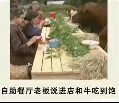 这是一张充满趣味的网络梗图，画面呈现户外的木质长桌场景，几位老人坐在长桌一侧，手持餐具正在用餐；长桌的另一侧，一头牛正低头进食桌上摆放的草料，桌子下方铺着干草，营造出和牛同席的奇特画面。图片底部配有文字“自助餐厅老板说进店和牛吃到饱”，利用“和牛”的字面歧义制造笑点——原本宣传的高端牛肉“和牛”被曲解成“和牛一起”用餐，用这种反差感调侃商家的宣传话术，产生荒诞搞笑的效果。