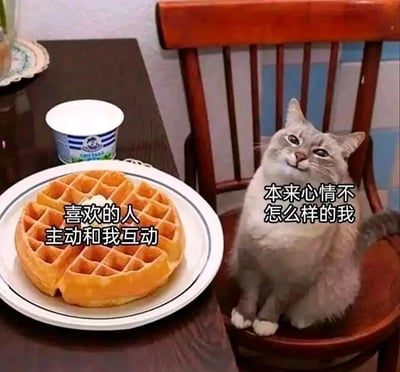 这是一张静态图文混排的表情素材图，画面左侧是摆放在深色餐桌上的华夫饼，盛放在带有黑边的白色盘子中，旁边还有一杯带包装的小份饮品；画面右侧是一只灰白相间的猫咪，端正坐在木质餐椅上，前爪并拢放在身前，眼睛亮晶晶、嘴角上扬，露出开心满足的神情。图片配有两组文字，华夫饼旁的文字为“喜欢的人主动和我互动”，猫咪旁的文字为“本来心情不怎么样的我”，通过前后对比，生动刻画了原本心情低落的人，在被自己喜欢的人主动互动后，瞬间变得雀跃开心的细腻情绪，精准贴合了暗恋或在意他人时的心理变化。