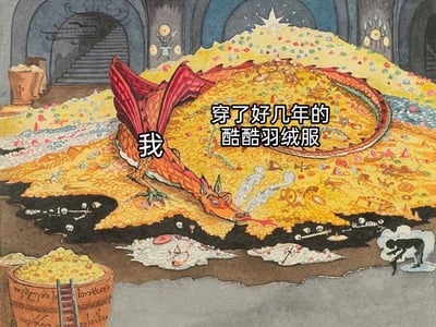 这是一张基于《霍比特人》经典插画二次创作的玩梗图。画面中原本守护孤山矮人宝藏的巨龙史矛革被标注为‘我’，它身下堆积如山的金银珠宝被标注为‘穿了好几年的酷酷羽绒服’，用巨龙守护无价宝藏的夸张场景，类比自己舍不得换掉那件已经穿了很久、但十分喜爱的旧羽绒服的心情，将日常小事用奇幻文学的经典场景进行放大化表达，充满幽默与共鸣感。画面右下角还保留了原插画中试图偷取宝藏的比尔博·巴金斯的形象，进一步还原了原场景的设定，让玩梗的对比感更加强烈。