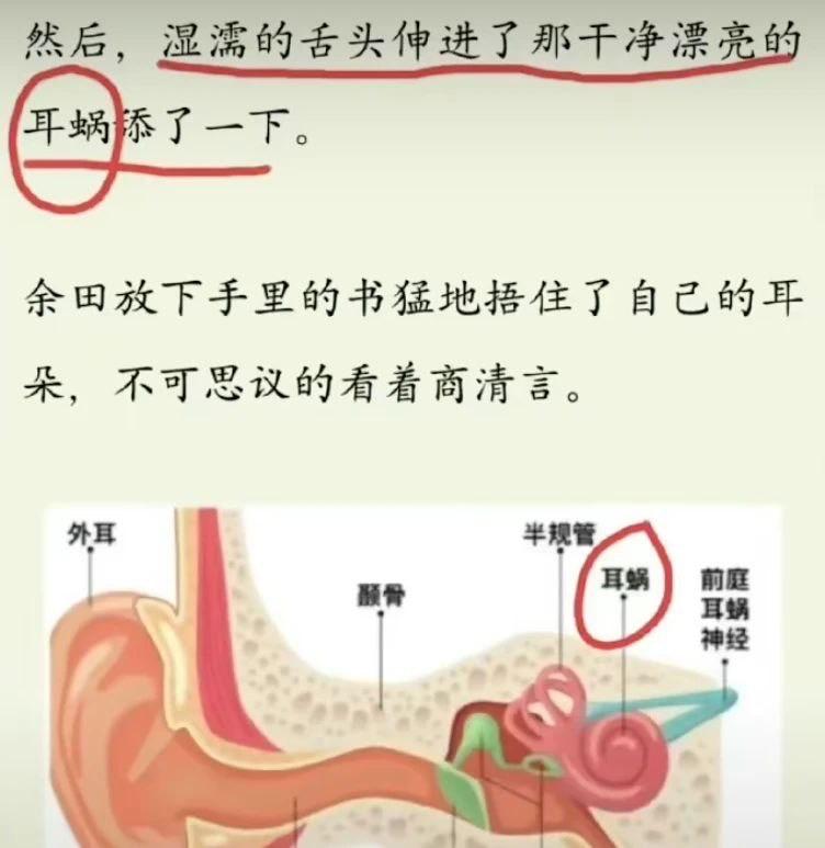 未知网络文学