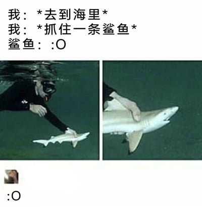 这是一张由两张水下图片拼接而成的搞笑梗图，上方配文模拟场景：“我：*去到海里* 我：*抓住一条鲨鱼* 鲨鱼：:O”。左侧图片呈现潜水员在水下抓住一条体型极小的鲨鱼的真实场景，右侧图片则利用视角错位，只截取潜水员的手和鲨鱼的头部区域，让这条小鲨鱼看起来像是体型巨大的鲨鱼，制造出强烈的反差感。底部的评论“:O”也呼应了鲨鱼的惊讶情绪，整体通过视觉错觉和场景化文字的配合，营造出荒诞、搞笑的效果，调侃了“抓鲨鱼”这个听起来很厉害的行为和实际场景的反差。