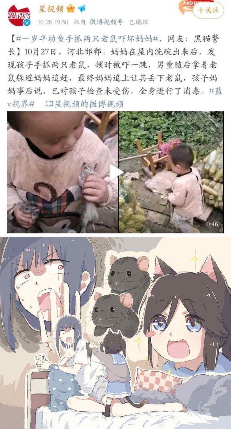 老鼠