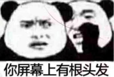 这张梗图是一张经典的黑白熊猫表情包，配文为“你屏幕上有根头发”。图片右侧的熊猫人表情滑稽逗趣，结合图片中从上到下的一线，造成视觉错觉，让人误以为真的有头发粘在屏幕上，非常适合用来调侃朋友或恶搞聊天。

图片利用错视的幽默效果制造误解，自带“恶作剧”属性。