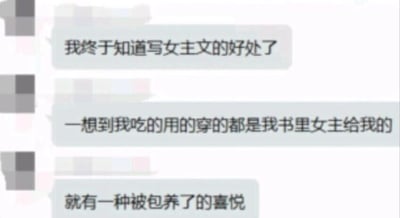 这是一张单页的聊天记录截图，画面中只有三段文字消息，出自一位网文作者之口。作者先是感慨终于发现写女主文的好处，接着幽默地表示自己吃穿用度的开销都来自笔下女主带来的创作收益，最后戏称自己因此产生了一种被包养的喜悦感，用接地气又充满趣味的自嘲，展现了网文创作者在获得收益时的轻松满足心态，内容诙谐有趣，精准戳中了创作者靠作品变现的独特视角。
