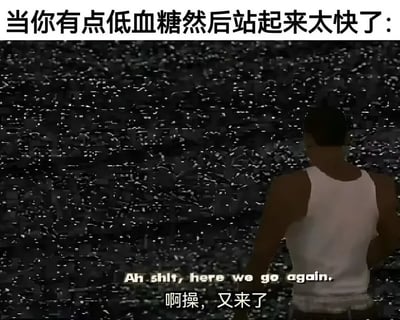 这是一张二次创作的搞笑梗图，顶部配文“当你有点低血糖然后站起来太快了：”点明场景，下方主体是游戏《侠盗猎车手：圣安地列斯》的主角卡尔·约翰逊背对镜头的画面，前方铺满了闪烁的花屏效果，用来模拟低血糖人群快速起身时眼前发黑、视线模糊闪光的生理感受，底部搭配该游戏的经典名梗台词，英文为“Ah shit, here we go again.”，配有对应的中文翻译“啊操，又来了”，生动调侃了低血糖患者频繁遇到起身发黑不适的无奈感受，很容易引发有同类经历用户的共鸣。
