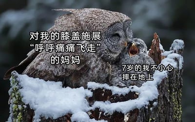 这是一张由野生动物摄影作品改编的温馨梗图，画面主体是栖息在积雪覆盖的树桩巢穴中的猫头鹰母子，成年猫头鹰温柔地依偎着张大嘴巴的幼猫头鹰。配文将成年猫头鹰对应为“对我的膝盖施展‘呼呼痛痛飞走’的妈妈”，幼猫头鹰对应为“7岁的我不小心摔在地上”，用动物的互动场景生动还原了童年时期摔倒后，妈妈用温柔的方式安慰受伤自己的暖心瞬间，唤起人们对童年母爱的温暖回忆，整体氛围治愈又充满亲情的暖意。