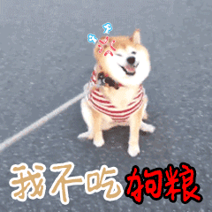 柴犬咆哮：我不吃狗粮我要女朋友