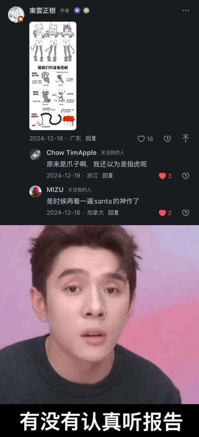 图片分为上下两部分。上半部分是社交媒体评论区截图，用户“東雲正樹”发布了一张标题为“猫咪们的装备图解”的线稿图，图中包含三只猫咪形象及多种装备示意图，下方有两条评论：“Chow TimApple”留言“原来是爪子啊，我还以为是指虎呢”，“MIZU”评论“是时候再看一遍santa的神作了”，并显示评论时间和地点（广东、浙江、加拿大）。下半部分是一张人物面部特写，背景为粉紫色渐变，底部配有文字“有没有认真听报告”，整体形成评论互动与表情包结合的内容。