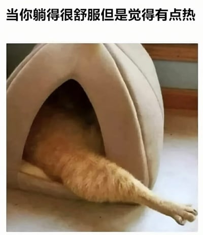 一张宠物搞笑梗图，画面中一只宠物（看起来像是猫或小型犬）舒适地躺在一个米色的半圆形宠物床里，只从洞口伸出了一条毛茸茸的后腿和爪子。图片上方配有文字“当你躺得很舒服但是觉得有点热”，通过宠物的可爱姿势幽默地表现了人们在享受舒适时又感到有点热的矛盾状态。