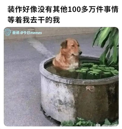 暂无描述