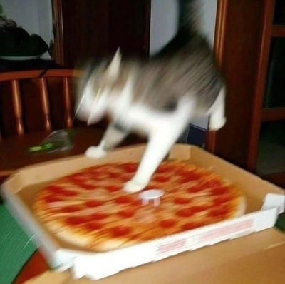 图片中一只灰白相间的猫咪正处于跳跃的动态中，前爪已经踩在了一个打开的披萨盒里的意大利辣香肠披萨上。猫咪的身体因快速移动而产生轻微模糊，尾巴高高翘起，背景可见木质椅子和橱柜，营造出一种家庭环境中宠物与食物意外互动的搞笑场景。