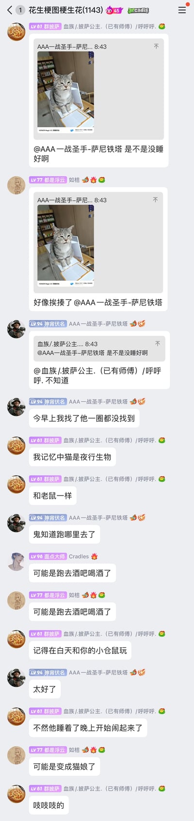 这是一张QQ群“花生梗图梗生花(1143)”的聊天记录截图，群成员围绕一张表情萎靡、看起来没睡好的灰纹猫咪照片展开趣味讨论。成员们先是调侃猫咪的状态，猜测它没睡好或者挨揍了，之后猫咪的主人表示早上找不到它，群成员们发挥脑洞调侃猫咪跑去酒吧喝酒、变成猫娘子，还聊到猫咪的夜行性特点，以及如何通过白天互动调整猫咪作息，避免它晚上闹腾，整个聊天氛围轻松搞笑。
