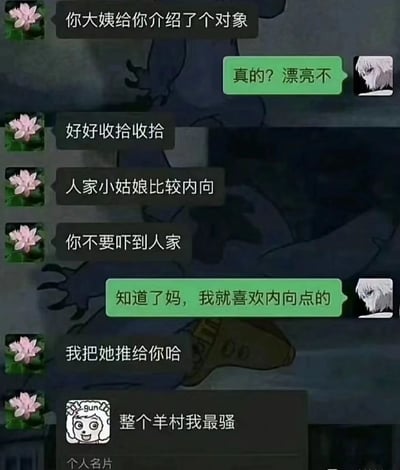 这是一张聊天记录形式的梗图，背景为深色卡通场景，左侧为母亲发送的黑色气泡消息：“你大姨给你介绍了个对象”“好好收拾收拾”“人家小姑娘比较内向”“你不要吓到人家”“我把她推给你哈”，右侧为孩子的绿色气泡回复：“真的？漂亮不”“知道了妈，我就喜欢内向点的”。底部出现对方的个人名片，头像为卡通角色，签名写着“整个羊村我最骚”，通过“内向”与“最骚”的强烈反差制造幽默效果。
