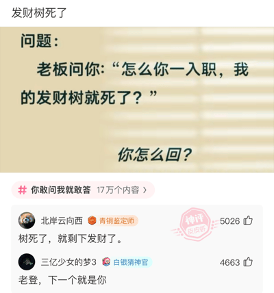 这是一则以职场幽默为主题的问答型梗图。老板质问员工为何入职后办公室的发财树死了，并让网友脑洞大开回复。下方高赞评论包含谐音梗和黑色幽默：比如“树死了，就剩下发财了”，“老板，下一个就是你”，展现了网友对职场和老板的调侃反击。

图片利用“发财树”谐音产生双关和暗示，隐喻公司运势或老板下场。评论部分有明显黑色幽默。