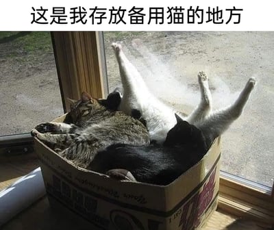 图片展示了窗边的一个普通纸箱，里面挤着三只姿态放松的猫咪：一只狸花猫侧躺在箱内，闭眼熟睡，四肢自然伸展；一只黑白猫和一只黑猫堆叠在狸花猫身旁，将四肢向上伸展，睡得十分惬意。图片上方配有文字“这是我存放备用猫的地方”，用幽默调侃的语气将纸箱里的多只猫咪戏称为“备用猫”，既贴合猫咪喜欢挤在狭小空间的习性，又充满趣味，传递出养猫日常的治愈感与欢乐感。