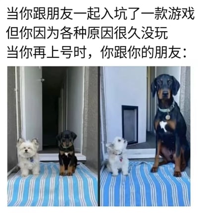 这是一张左右对比的搞笑梗图，上方配文描述了游戏玩家的真实经历：和朋友一起入坑同一款游戏，自己因各种原因许久未登录，再次上号时，发现自己和朋友的实力、等级差距悬殊。图中左侧是体型相近的小白狗和小杜宾，对应刚一起入坑时两人水平相近的状态；右侧是体型依旧小巧的小白狗和长成高大成年犬的杜宾，对应许久未玩的自己和一直坚持游玩、实力大幅提升的朋友，生动又形象地调侃了这种游戏里的“差距感”，能引发广大玩家的共鸣。