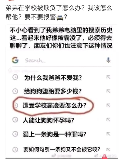 这是一张在社交平台传播的搞笑梗图，内容分为两部分：上方是内容分享者的疑问与感慨，分享者发现弟弟的搜索记录里有“遭受学校霸凌要怎么办？”，因此担忧弟弟在学校被霸凌，发出求助疑问；下方是弟弟的谷歌搜索历史列表，除了那条疑似霸凌的搜索，还有“为什么我爸爸不爱我？”“给狗狗堕胎要多少钱？”“人能让狗狗怀孕吗？”“爱上一条狗是一种罪吗？”“要如何勾引一条狗又不会被咬？”这些荒诞离谱的内容，形成强烈反差，原本的担忧氛围瞬间变成搞笑效果，通过这种反差制造幽默，是典型的网络搞笑梗图。