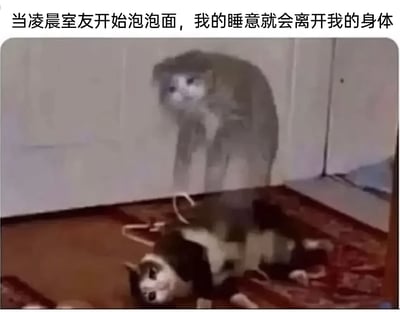 暂无描述
