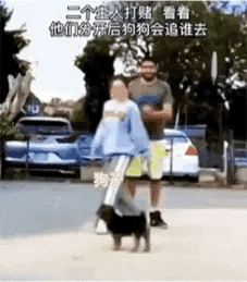 这是一个充满趣味的动态GIF图，画面里一男一女做出分开的动作，上方配文“一个世人打赌 看看他们分开后狗狗会追谁去”，还在与女生腿部视觉重叠的狗狗位置标注了“狗狗”。利用视觉错位效果，让狗狗看起来像是女生的下半身，当两人分开后，狗狗实际是向前跑动，打破了这个错位带来的误会，制造出搞笑的反差感。