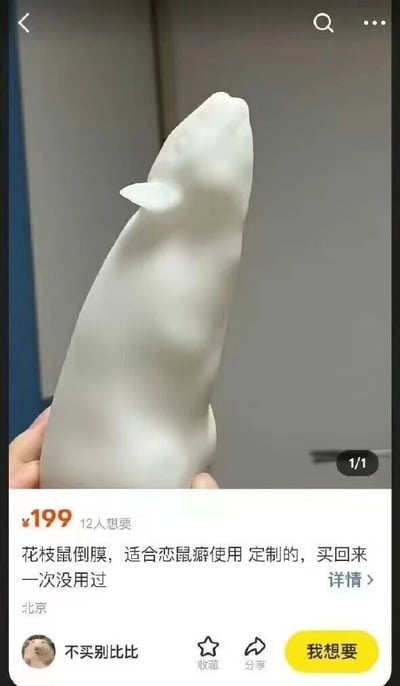 该图片为二手交易平台的商品 listing 截图，画面中一只手握着一个白色的花枝鼠形状倒膜，商品标价199元，有12人表示想要。卖家描述称此为定制款，适合恋鼠癖使用，且买回来后一次未用过，卖家位于北京，用户名显示为“不买别比比”。截图下方有收藏、分享和“我想要”按钮，整体呈现典型的二手商品交易信息展示场景。