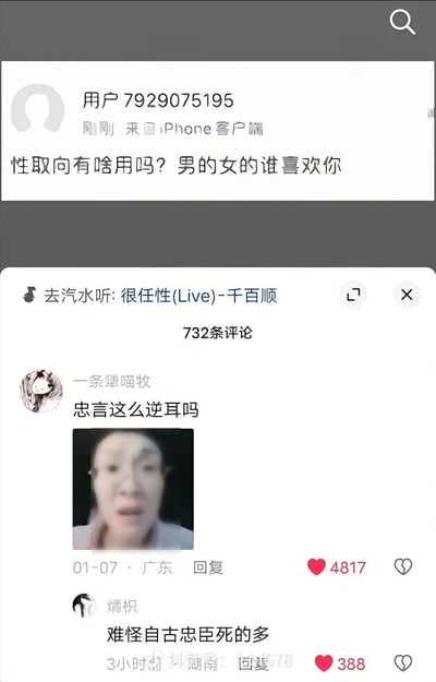 这是一张国内音乐类社交平台的评论区截图，上方是用户7929075195发布的犀利吐槽评论，内容为“性取向有啥用吗？男的女的谁喜欢你”，该评论位于歌曲《很任性(Live)》的内容下方，整个评论区共有732条评论；下方第一条高赞回复来自用户“一条犟喵牧”，配文“忠言这么逆耳吗”，同时附上了一张表情错愕震惊的真人表情包，该回复获得4817个点赞，其下另一位用户“燔枳”跟进玩梗回复“难怪自古忠臣死的多”，获得388个点赞，整体呈现出网友调侃扎心言论真实又好笑的互动场景。