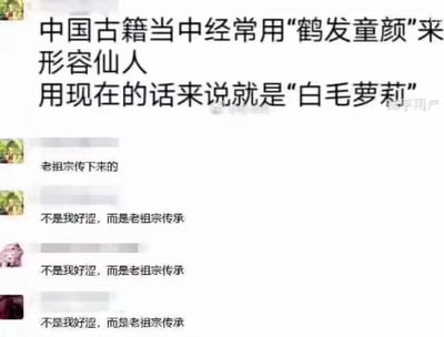 这是一张社交媒体聊天记录截图，顶部文字将中国古籍中用来形容仙人的“鹤发童颜”，用当下二次元圈的流行词汇调侃解读为“白毛萝莉”，制造出传统文化与现代网络文化的反差感。下方多名网友跟风玩梗，重复发送“不是我好涩，而是老祖宗传承”，以一本正经的“传承”为借口，合理化自己的喜好，形成了搞笑的玩梗效果，没有双关、谐音梗等特殊修辞，纯靠反差和甩锅式发言制造笑点。