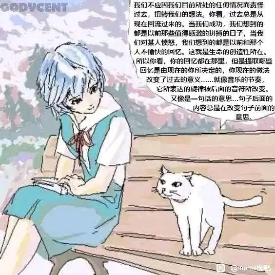 绫波丽